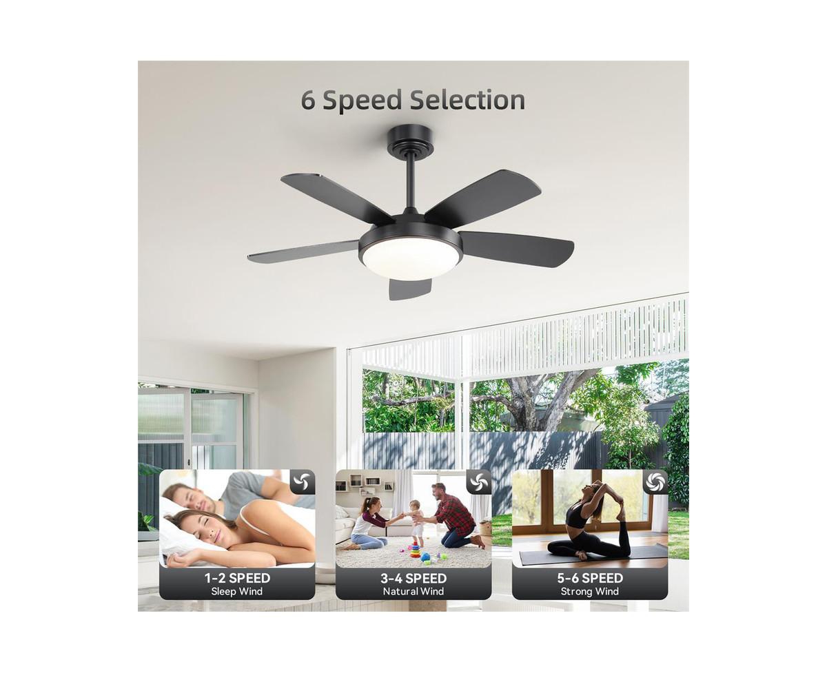 42-inch Modern Black 5-Blade Ceiling Fan with Light and Remote Control