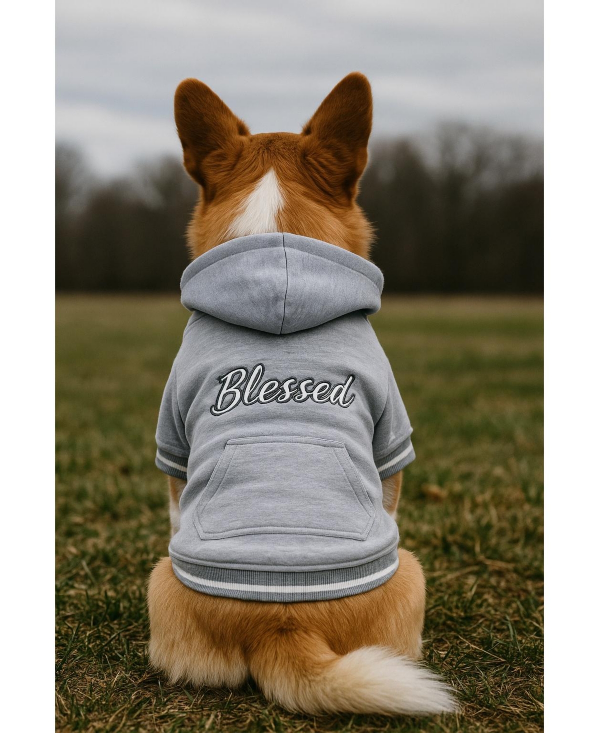 Parisian Pet Blessed Hoodie