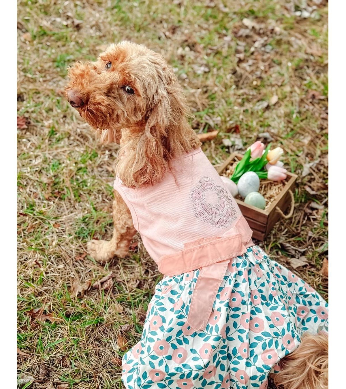 Parisian Pet Cherry Blossoms Dress Pink