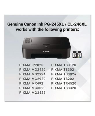 8278B023 (PG-245XL/CL-246XL) High-Yield Ink - Black/Color