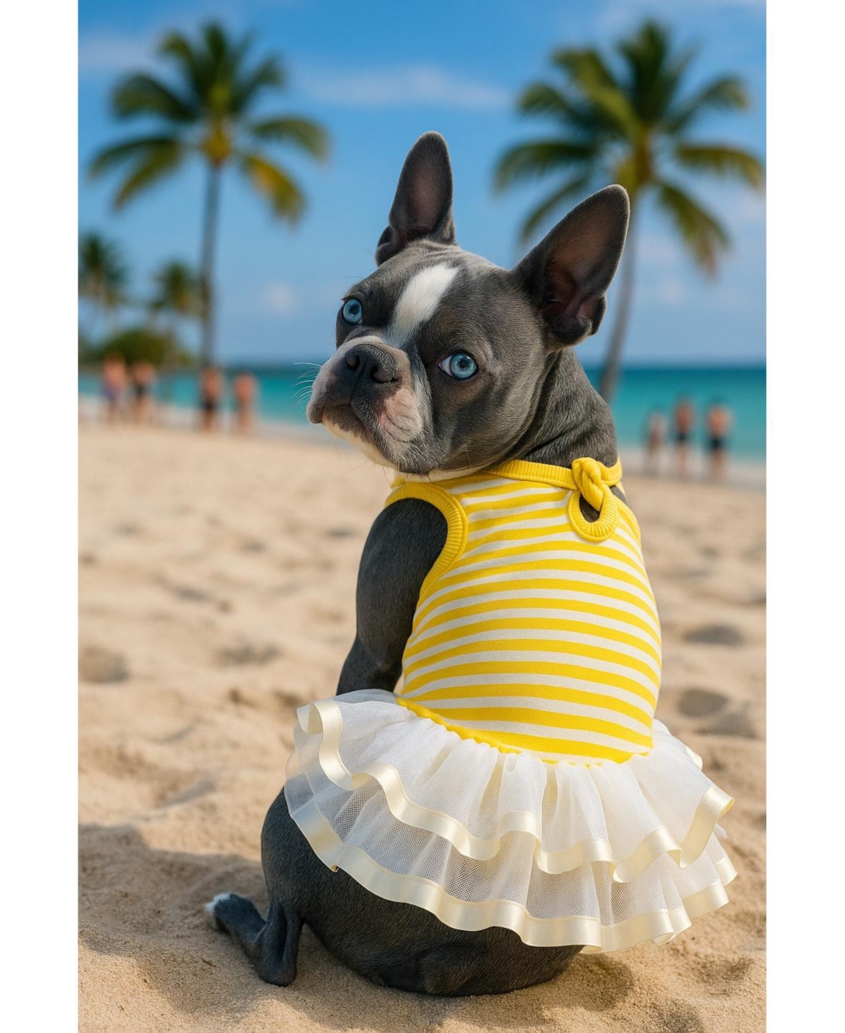 Parisian Pet Ballerina Dress