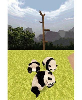 National Geographic Panda - Nintendo DS