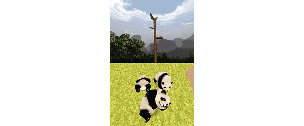 Namco Bandai National Geographic Panda - Nintendo Ds