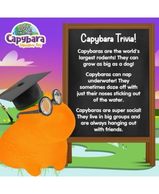 Capybara Squishy Toy 2 Pack