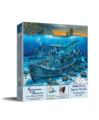 Spinners Domain 1000 piece Jigsaw Puzzle for Adults