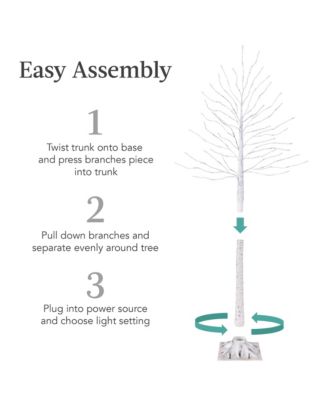Set of 3 Lighted Twig Birch Trees, 4ft, 6ft, 8ft w/ 300 LEDs, Warm White, Multicolor Lights