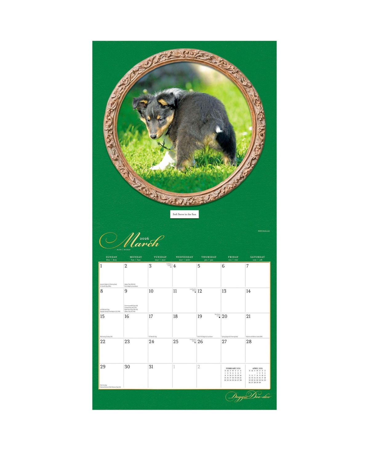 BrownTrout Doggie Doo Doo | 2026 12 x 24 Inch (Hanging) Monthly Square Wall Calendar | Plastic-Free