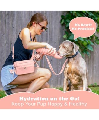 Collapsible Dog Water Bottle