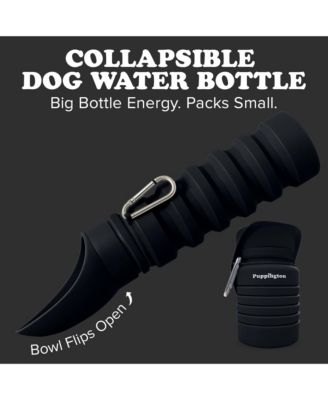 Collapsible Dog Water Bottle