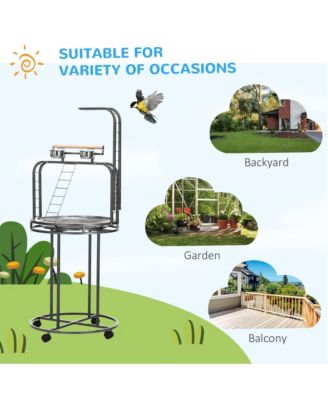 Parrot Sd Large Bird Perch Sd with Toy Hook & 3 Ladders