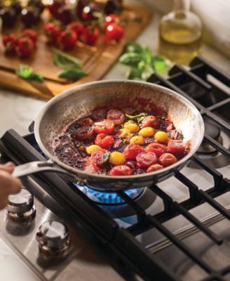 EverLast Stainless Steel 10-Pc. Tri-Ply Clad Cookware Set