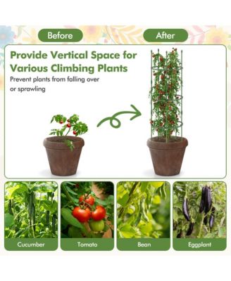 3-Pack Garden Tomato Trellis 60'' Plant Support Cage w/ Adjustable Size for Plants