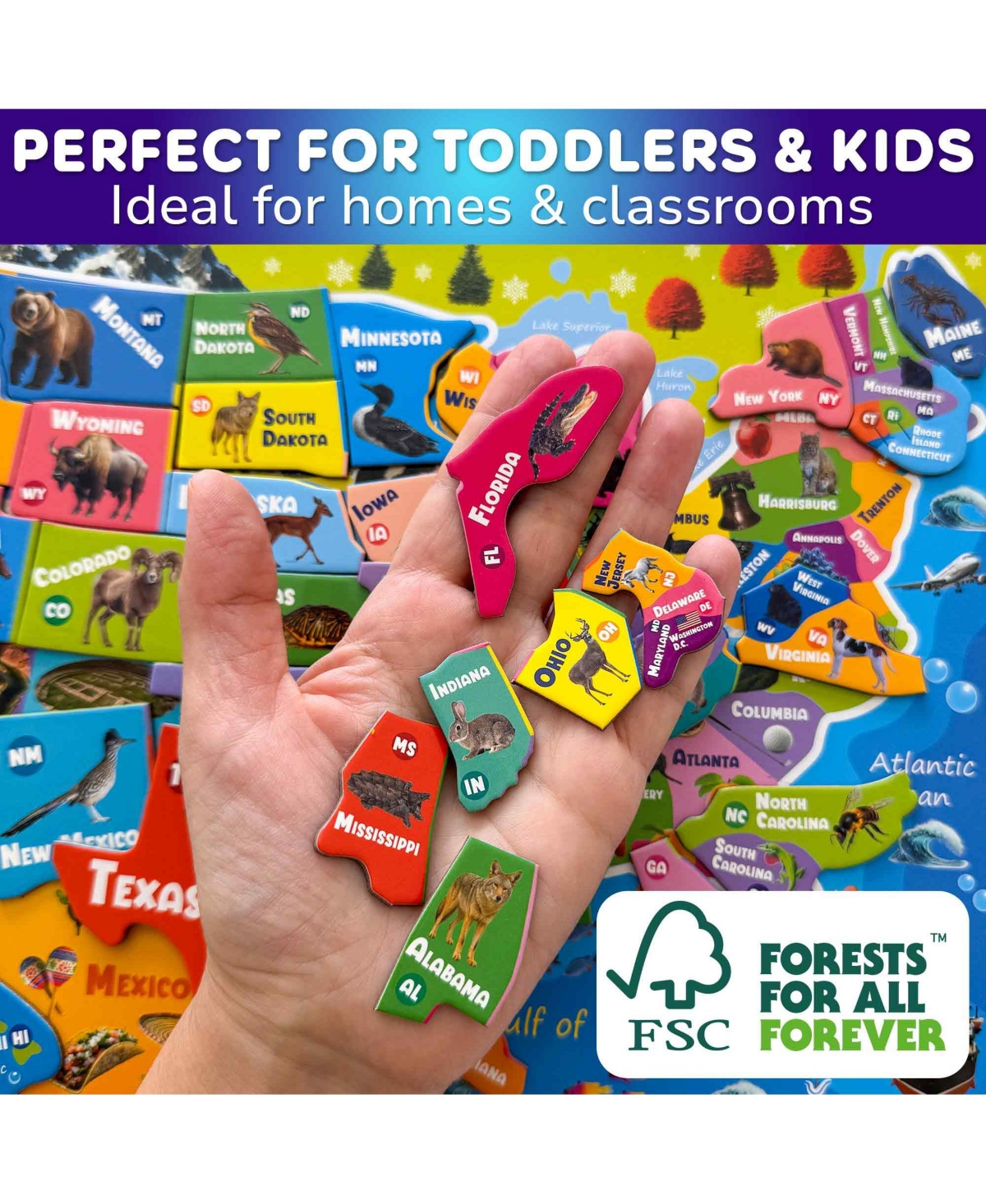 Quokka Magnetic Realistic Puzzles States Map for Kids 4-6 Years - Montessori Toys Geography Learning