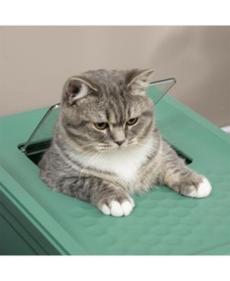 Fully Enclosed Cat Litter Box with Drawer Tray Portable Large Space Green