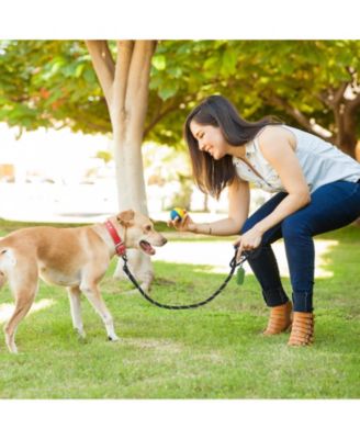 Heavy-Duty Reflective Rope Dog Leash, 6', Black
