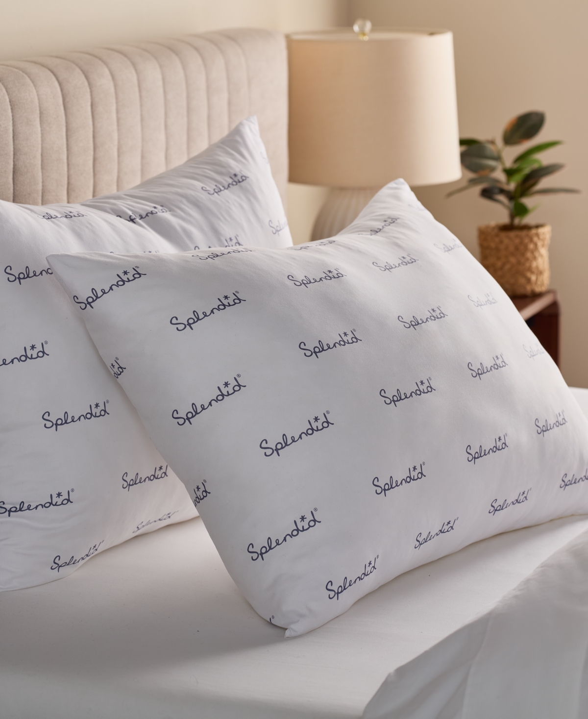 Splendid Medium Density 2-Pack Pillows, Standard