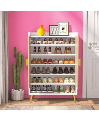 Shoe Organizer Cabinet with Doors and Shelf