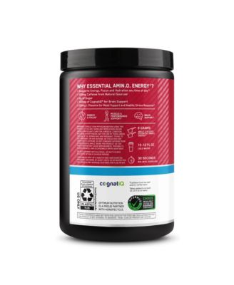 Essential Amino Energy Hydration Plus Focus Powder, Fruit Punch, 30 Servings