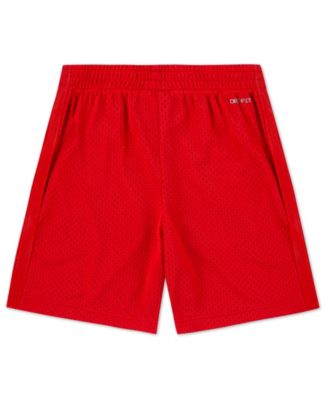 Boys' Toddler 2T-4T Dri-FIT Mesh Pull-On Shorts
