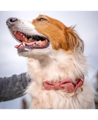 Textured Tweed Dog Collar With Detachable Bowtie Accessory