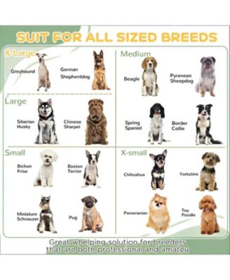 48.8 in. W Spacious Whelping Box for Dogs in White