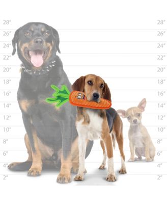 Funny Food Carrot, Durable Plush Squeaky Dog Toy