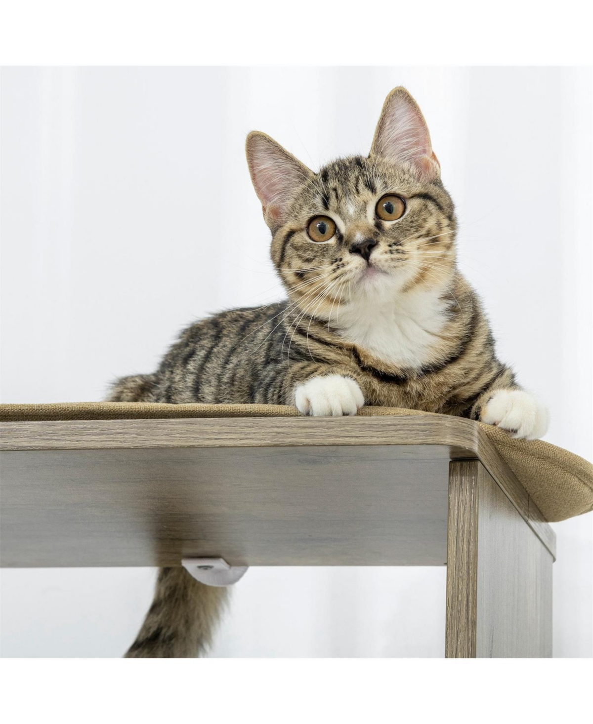 Aostirmotor 65" Tall Large Multilevel Cat Tower with Scratching Posts in Cream White