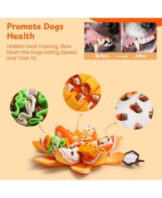 7-in-1 Pumpkin Dog Enrichment Toys, 6  Squeaky Snuffle Slices with Velcro-closure Rind for Treats Hunting Fun, Hide and Seek Puzzle Toy for D