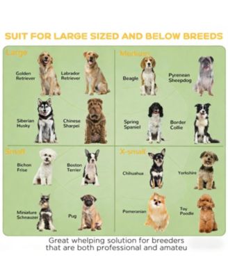 Spacious Whelping Box for Dogs in White