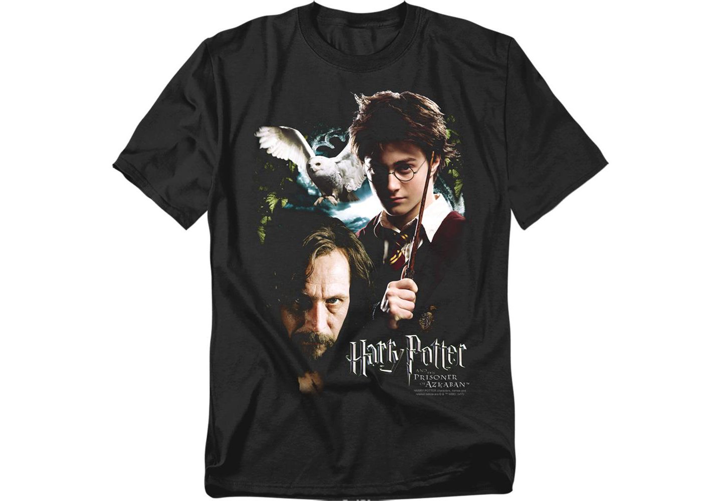 Мужская футболка Harry Potter Harry And Sirius, цвет: Чёрный — фото 1
