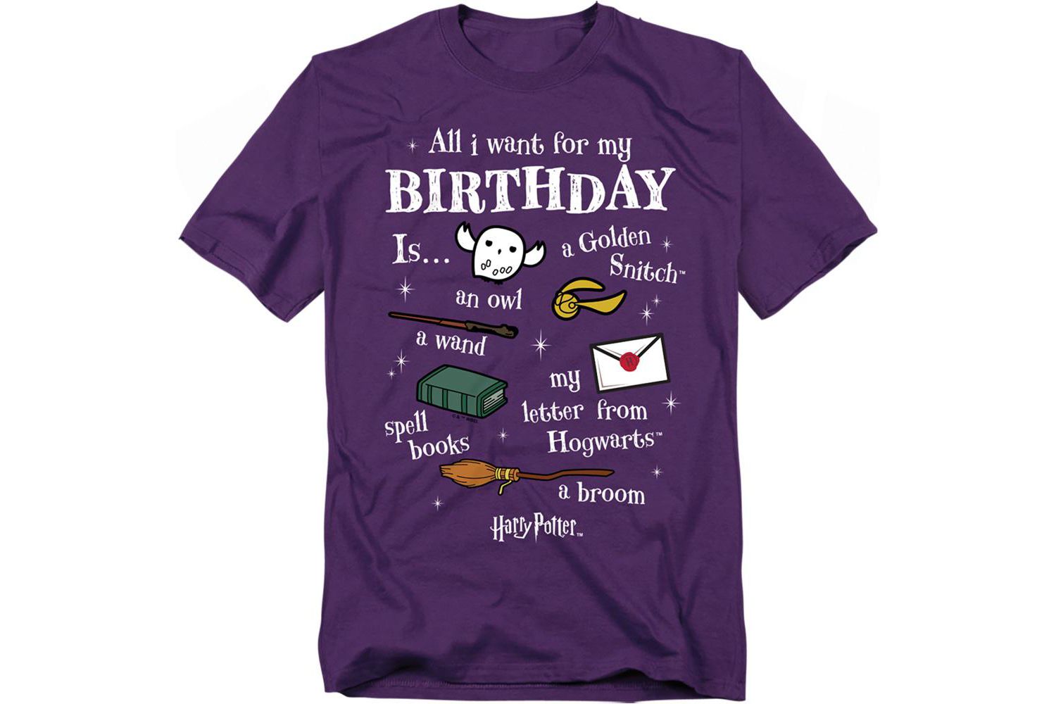 Men's Birthday Wishlist T Shirt