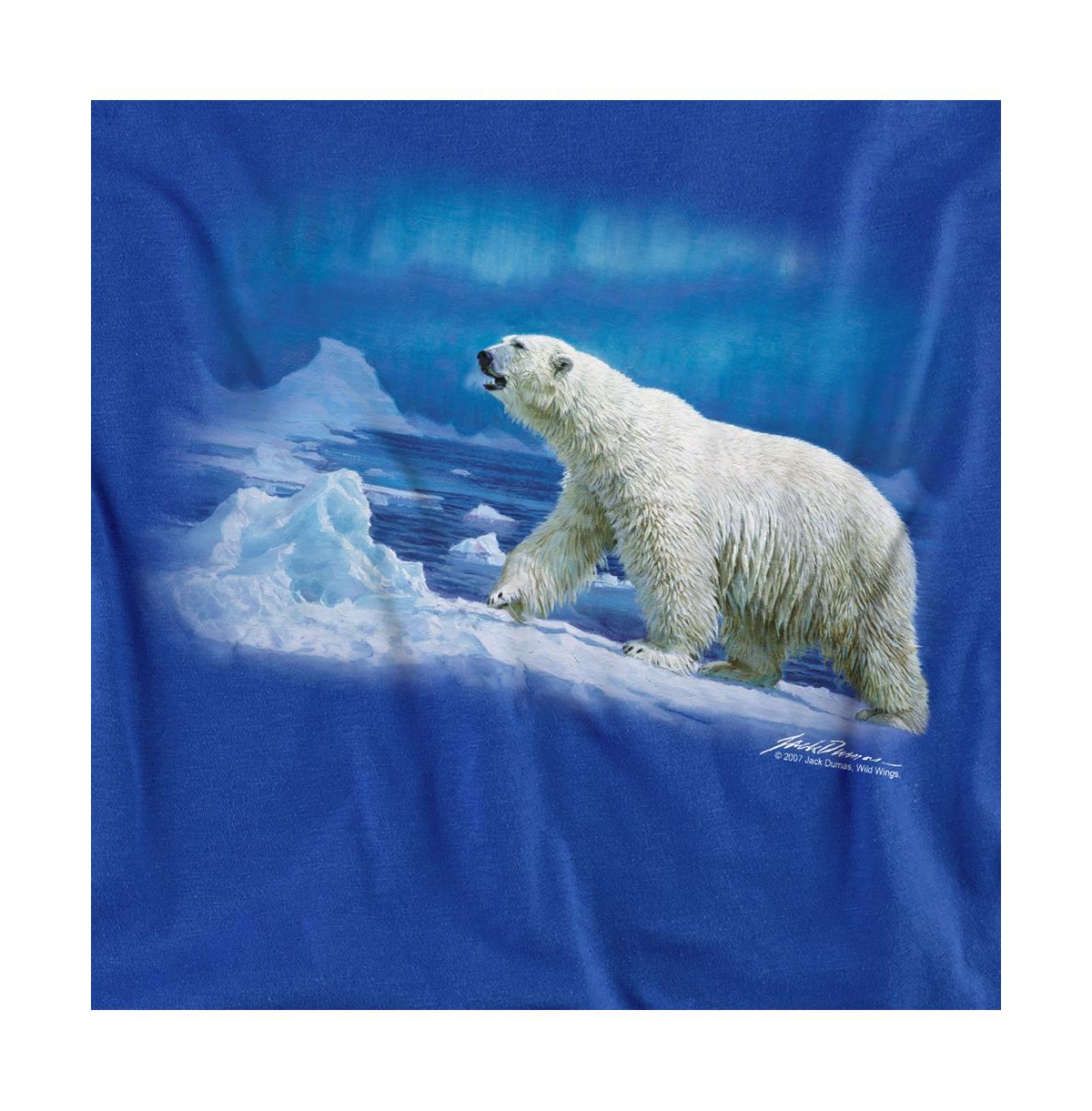 Wild Wings Men's Nomad Of The North T Shirt