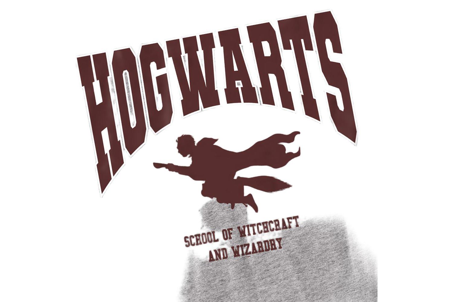 Men's Hogwarts Flying T Shirt