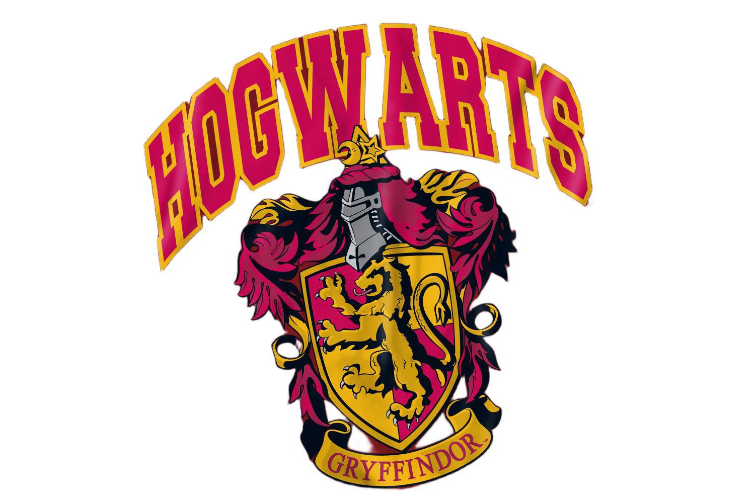 Men's Hogwarts Gryffindor T Shirt
