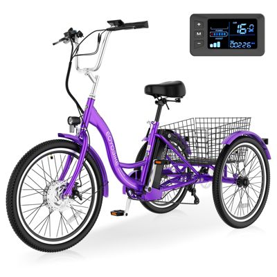 350W Electric Tricycle for Adults
