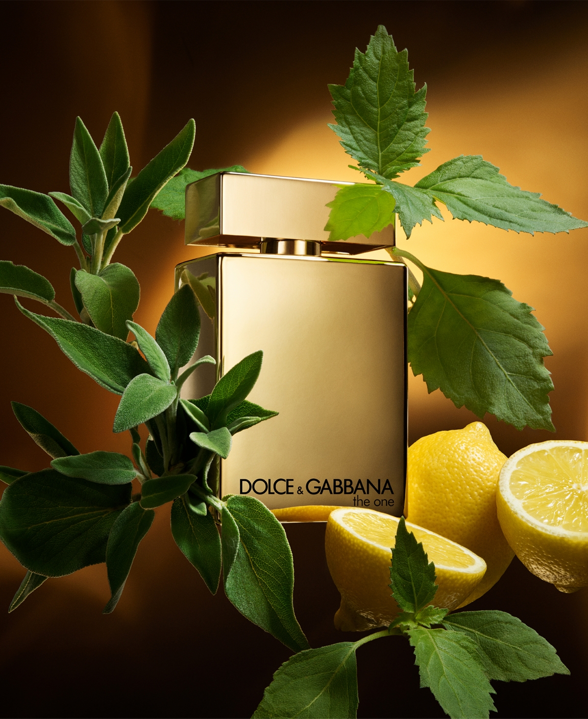 Dolce&Gabbana Men's The One Gold Eau de Parfum Intense Spray, 3.3 oz., Created for Macy's