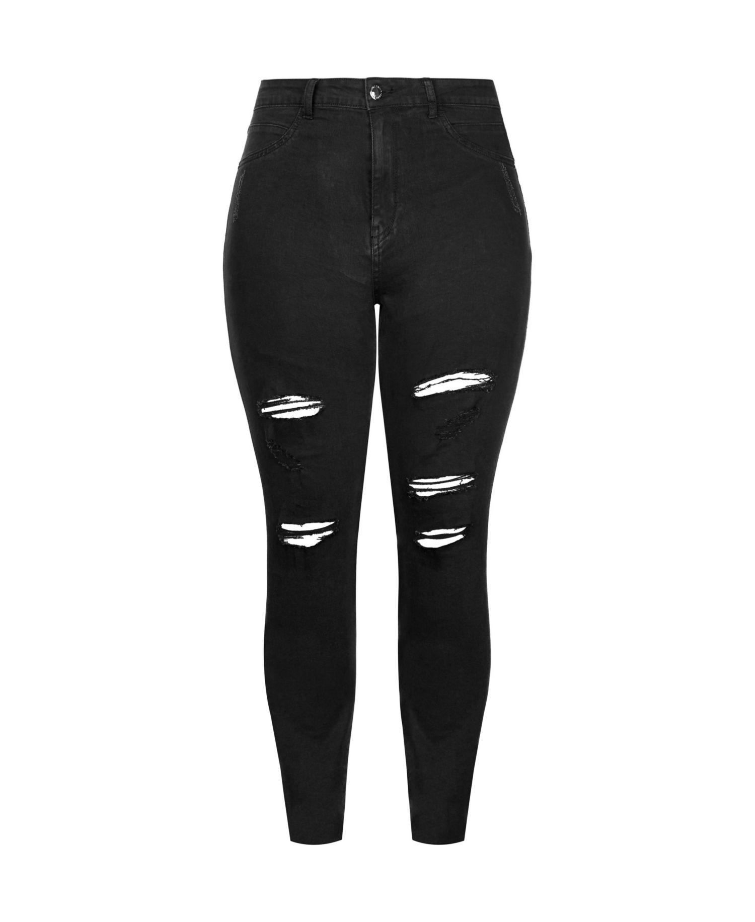 Plus Size Rock N Roll Skinny Jean