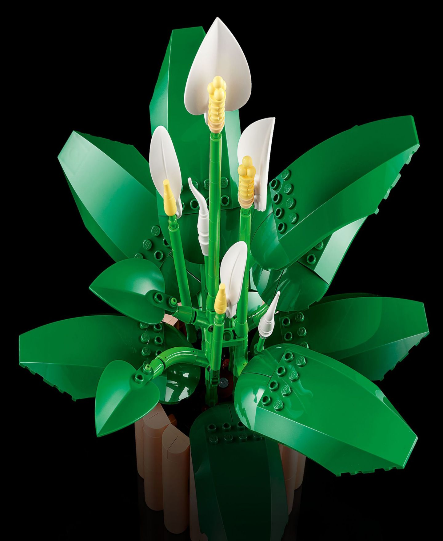 Детский конструктор LEGO® Botanicals Peace Lily Flower Building Set 11504, 474 Pieces — фото 4