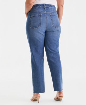 Plus Size High-Rise Embellished Straight Ankle Jeans