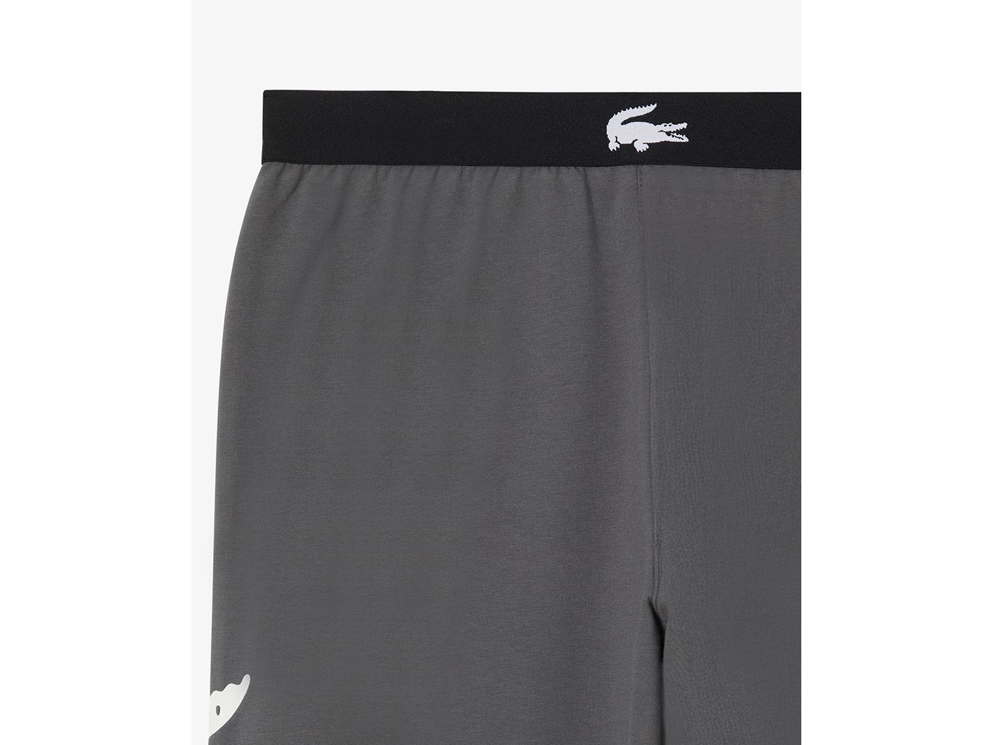 Пижамные брюки Loungewear для мужчин, с логотипом — Lacoste, цвет: Белый — фото 5