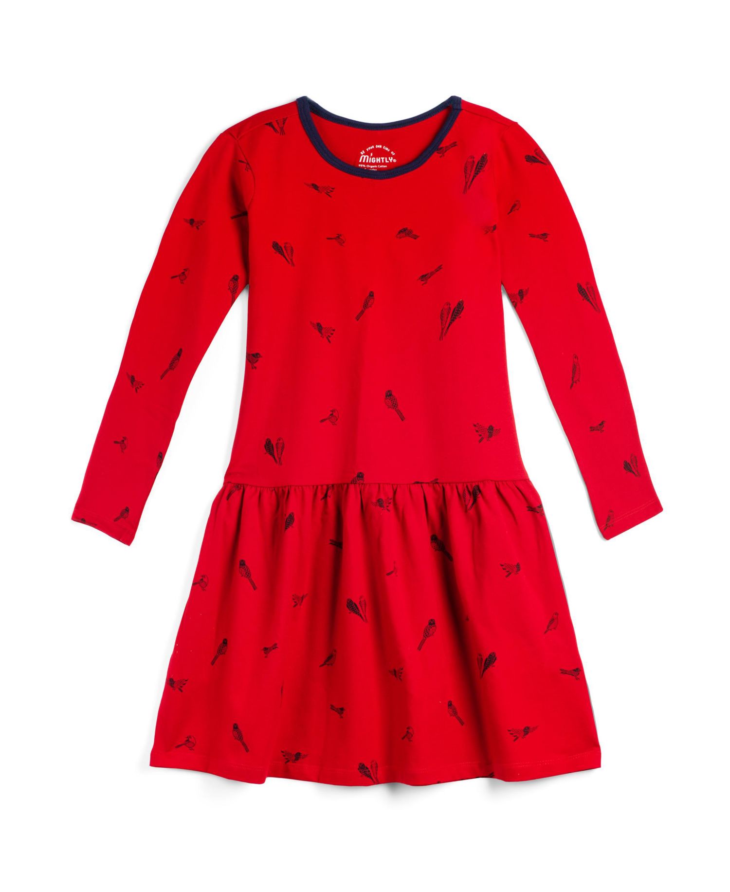 Toddler Girls Fair Trade Organic Cotton Long Sleeve Drop Waist Dress