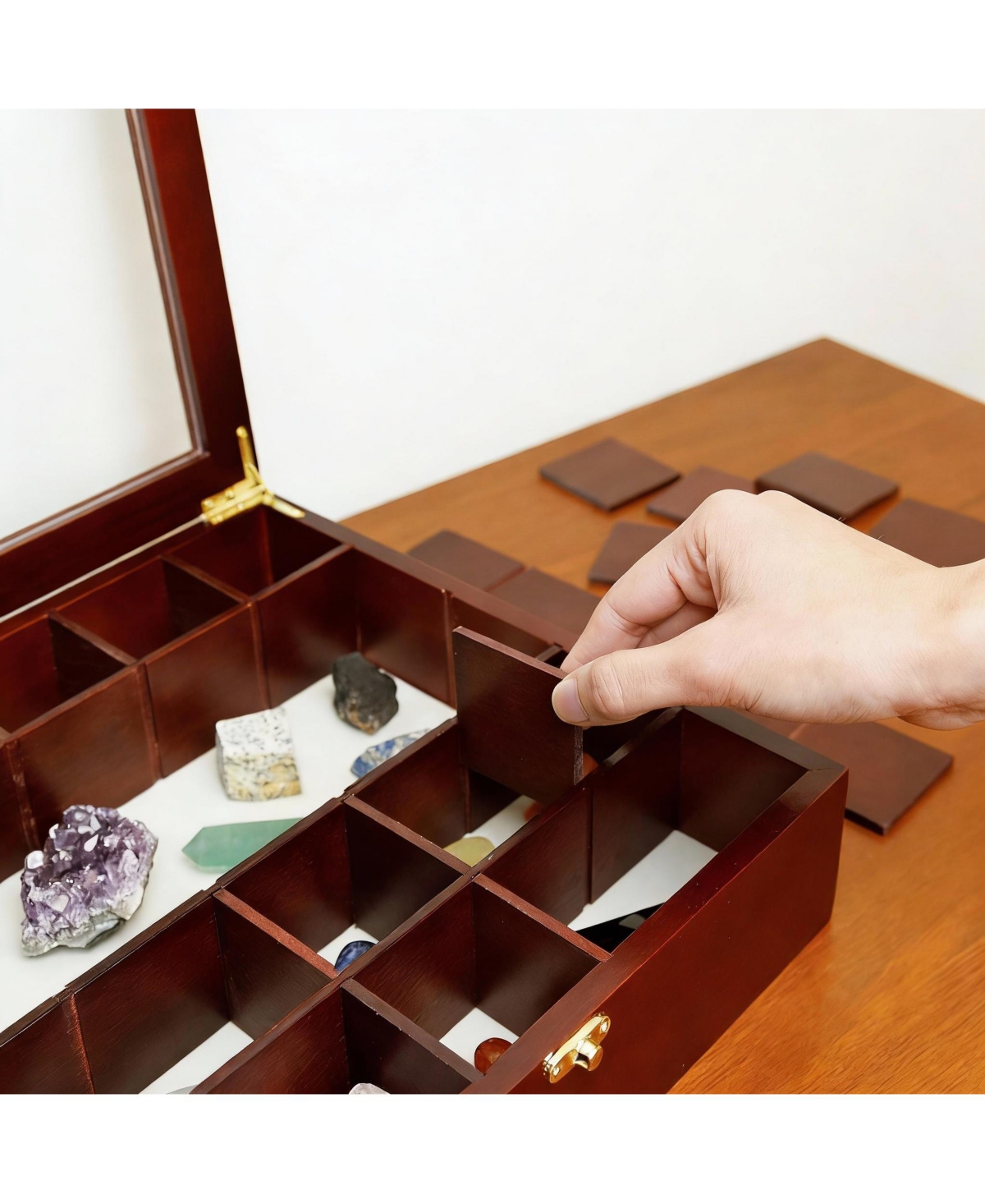 Yigii Adjustable Rock Display