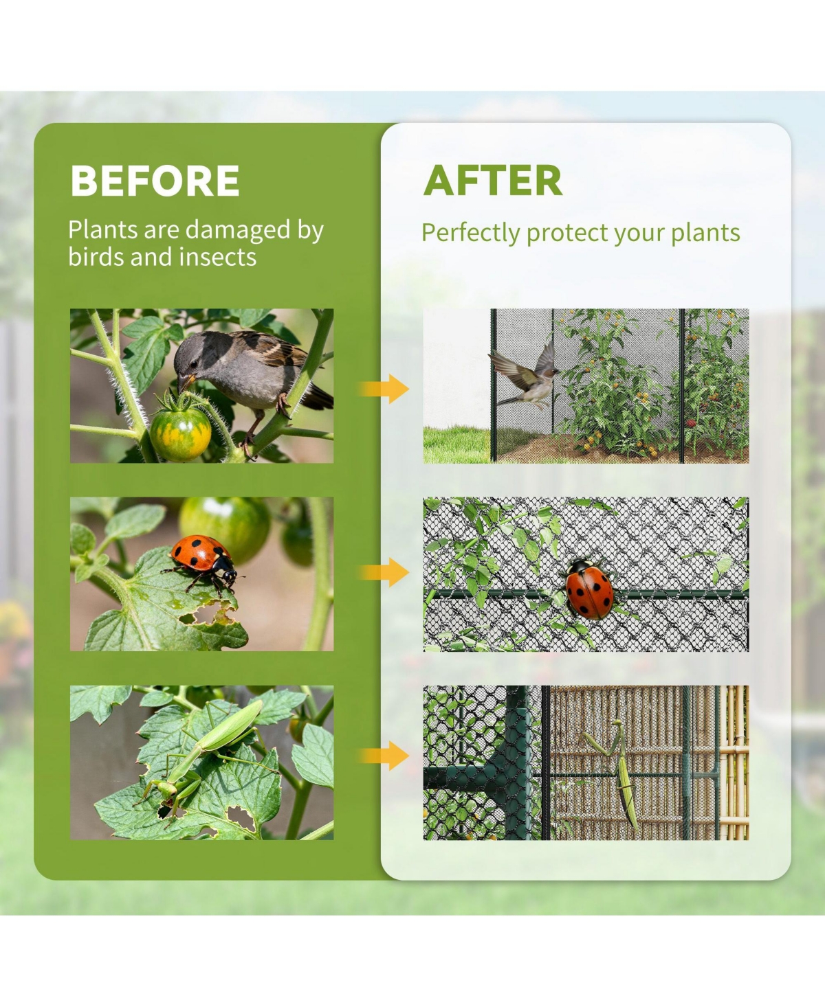 Outsunny 4' x Walk-in Crop Cage, Plant Protectors with Door,