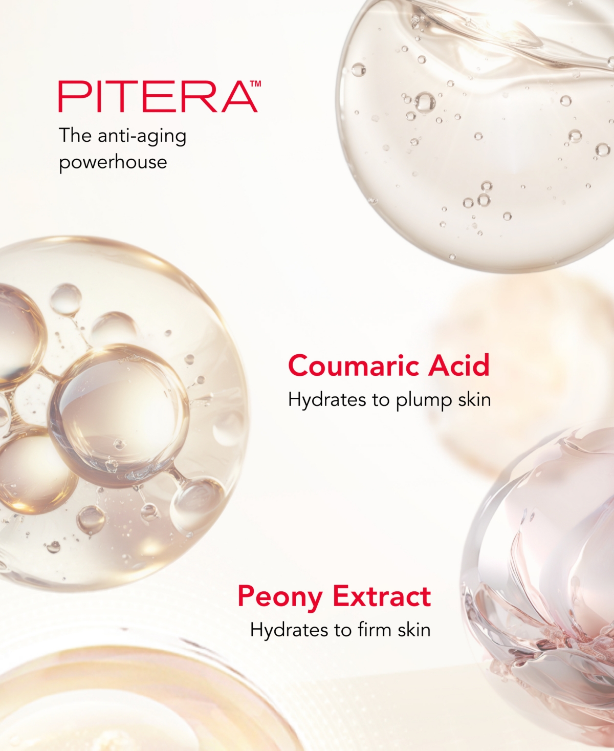 Sk-ii Skinpower Re-New Cream, 1.7 oz.