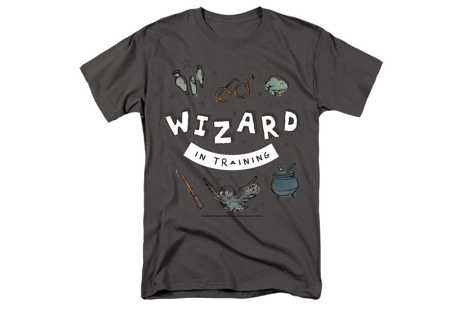 Men's Wizard In Training T Shirt