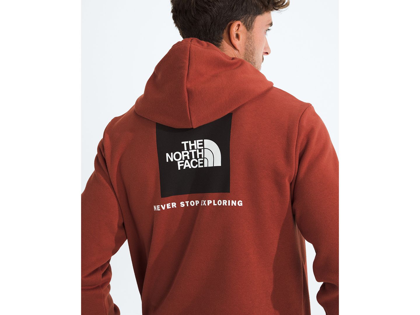 Мужское худи The North Face Evolution Box NSE Long-Sleeve, цвет: Железный глиняный — фото 2