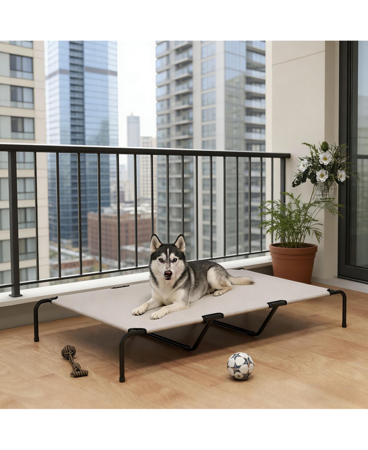 Aostirmotor Elevated Pet Sofa Bed - Modern Raised Lounge for Large Dogs