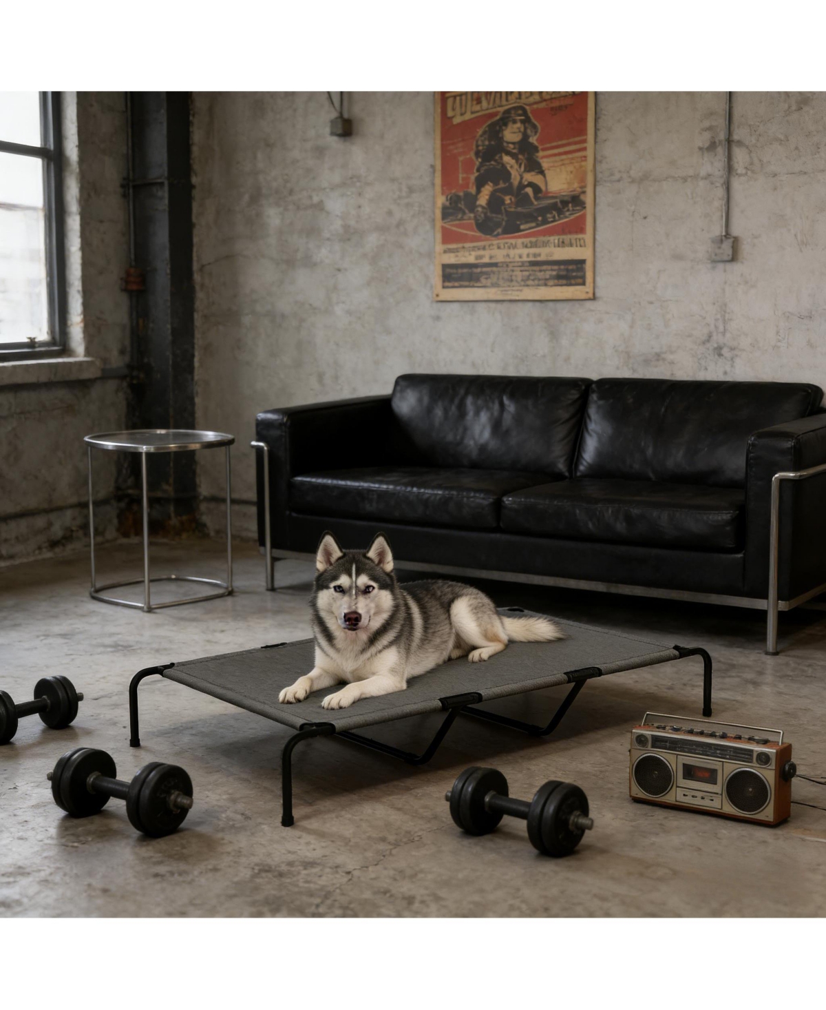 Aostirmotor Elevated Pet Sofa Bed - Modern Raised Lounge for Large Dogs