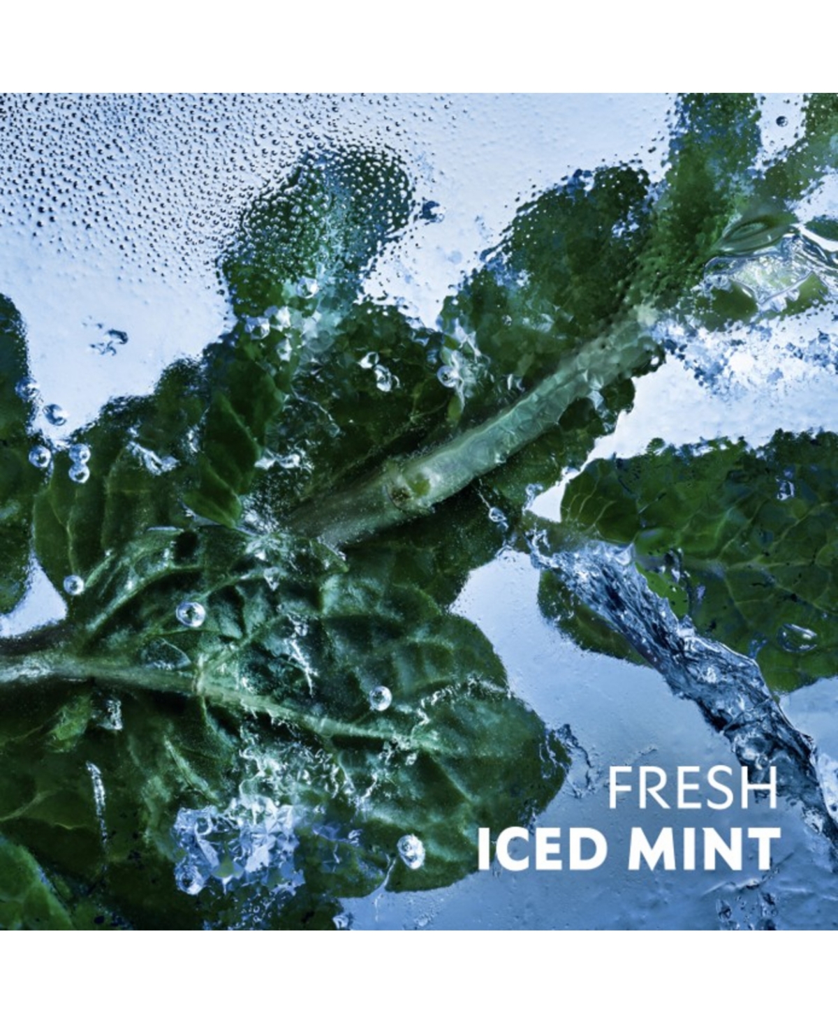 Yves Saint Laurent Men's Y Iced Cologne Eau De Toilette Intense