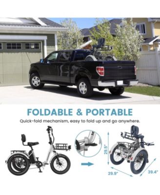 TK Pro 750W Foldable Electric Tricycle for Adults, 20" x 3.0" Wheel
